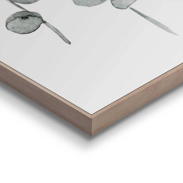 Kunstdruck Eukalyptus - MDF - Grün / Beige