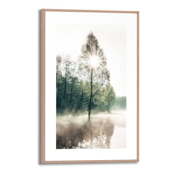 Kunstdruck Sonne durch die Bäume - MDF - Grün / Beige
