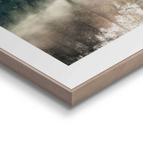 Kunstdruck Sonne durch die Bäume - MDF - Grün / Beige