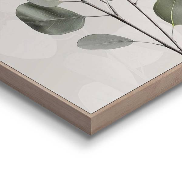 Kunstdruck Eucalyptus Zweig - MDF - Grün / Beige