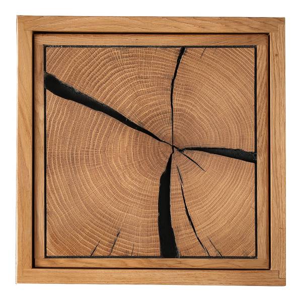 Massives Wandregal Allio mit Holztür - Wildeiche