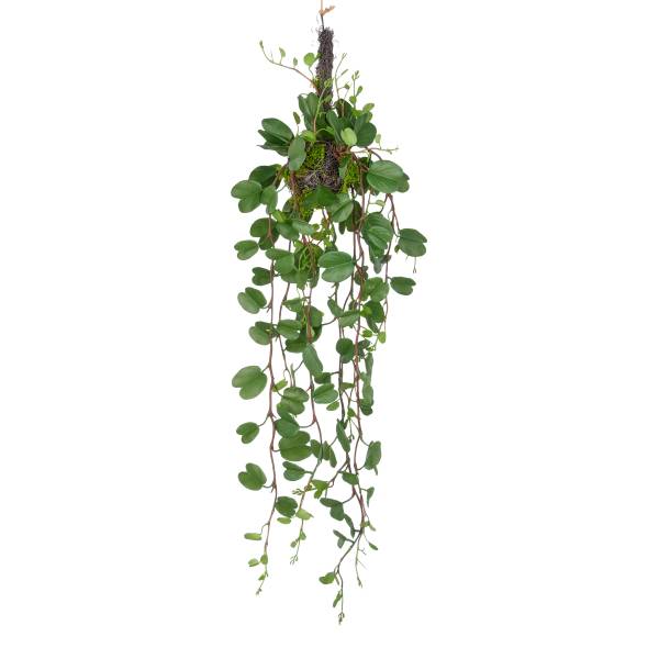 Kunstpflanze Bauhinia Typ B - Polyethylen - Grün / Schwarz