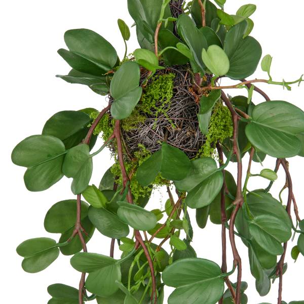 Kunstpflanze Bauhinia Typ B - Polyethylen - Grün / Schwarz