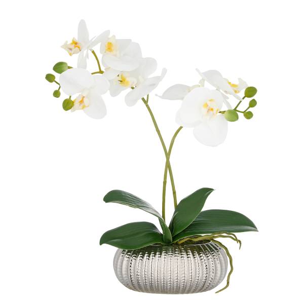 Kunstblume Phalaenopsis Typ G - Polyethylen - Grün / Weiß