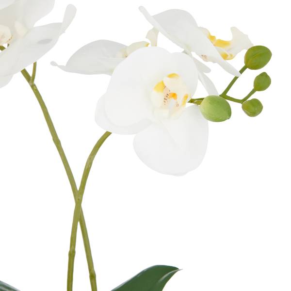 Kunstblume Phalaenopsis Typ G - Polyethylen - Grün / Weiß
