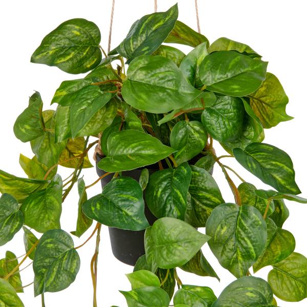Kunstpflanze Philodendron Hederaceum - Polyethylen - Grün