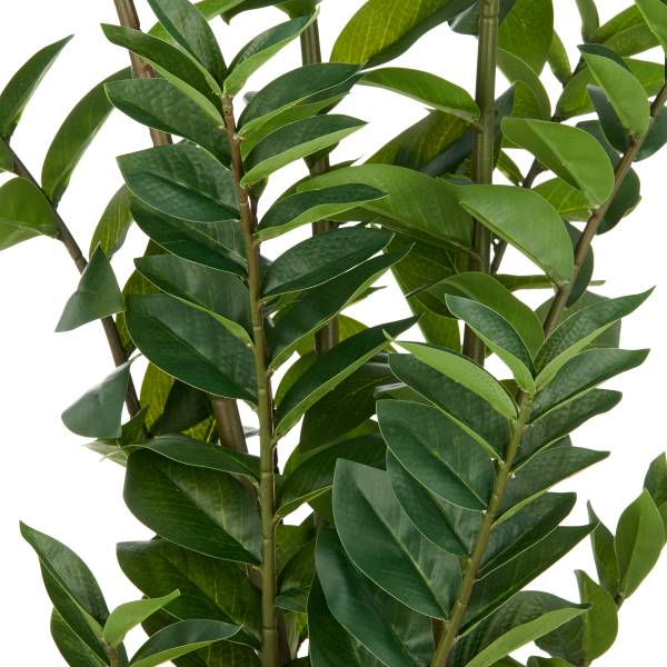 Kunstpflanze Zamifolia - Polyethylen - Grün / Schwarz - Höhe: 110 cm