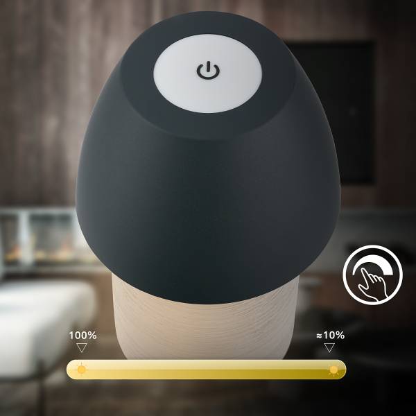 Akku LED Tischleuchte Cera - Keramik - Grau