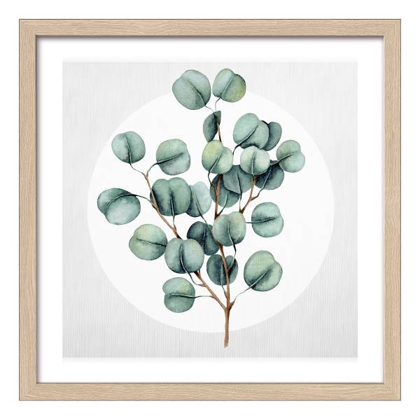 Holzbild Different Eucalyptus Typ A - Klarglas / MDF - Grün / Beige