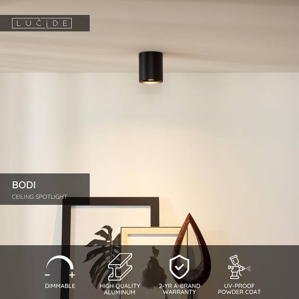 Deckenstrahler Bodi Typ A - Aluminium - Schwarz