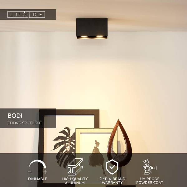Deckenstrahler Bodi Typ B - Aluminium - Schwarz