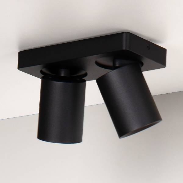LED-Deckenleuchte Nigel Typ A - Aluminium - Schwarz - Flammenanzahl: 2