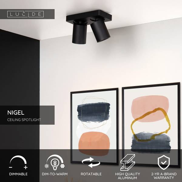 LED-Deckenleuchte Nigel Typ A - Aluminium - Schwarz - Flammenanzahl: 2