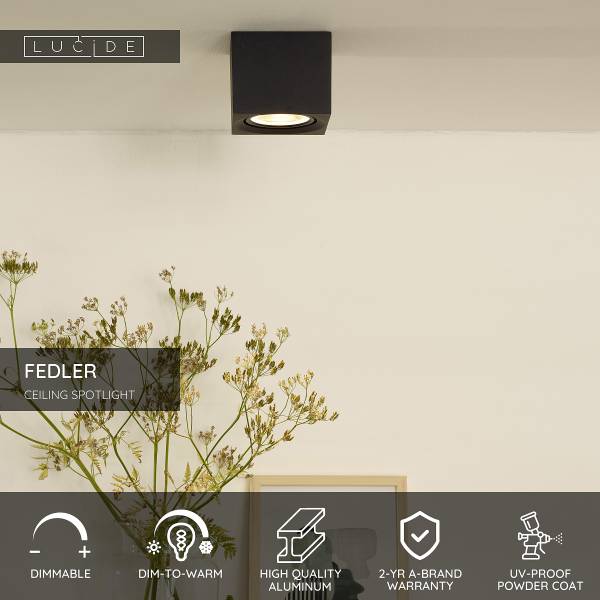 LED-Deckenstrahler Fedler Typ B - Aluminium - Schwarz