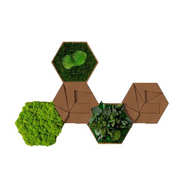 Dekopanel Hexagon 5er-Set - Moos / Kork - Grün / Kork