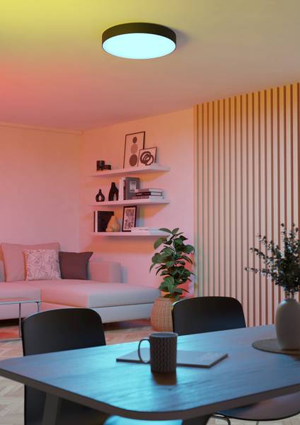 LED-Deckenleuchte Gallizzi-Z - Kunststoff - 1-flammig - Schwarz - Durchmesser: 39 cm
