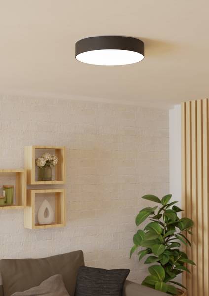 LED-Deckenleuchte Gallizzi-Z - Kunststoff - 1-flammig - Schwarz - Durchmesser: 39 cm