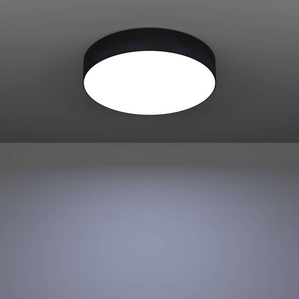 LED-Deckenleuchte Gallizzi-Z - Kunststoff - 1-flammig - Schwarz - Durchmesser: 39 cm