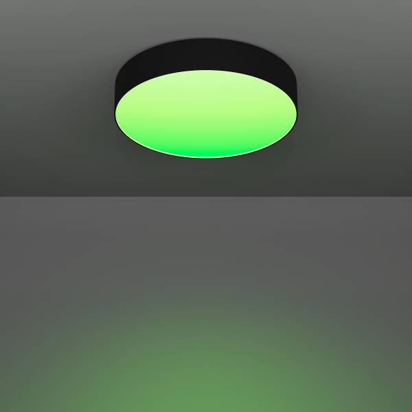 LED-Deckenleuchte Gallizzi-Z - Kunststoff - 1-flammig - Schwarz - Durchmesser: 39 cm