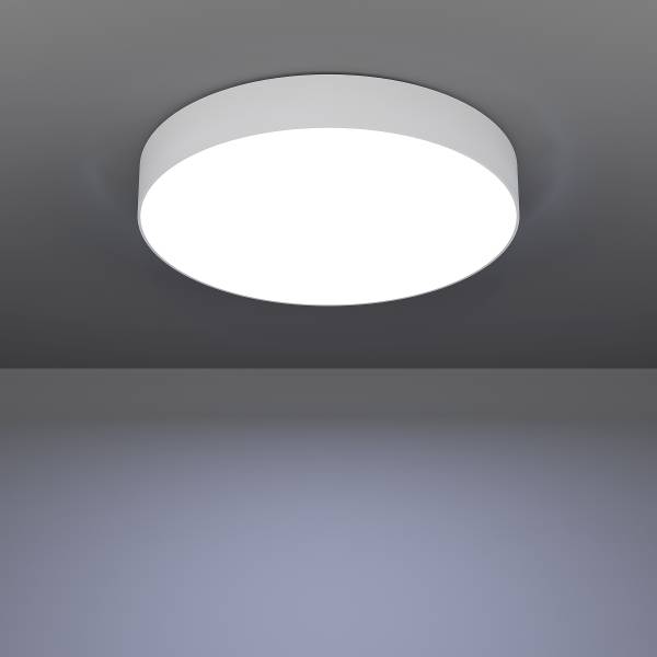 LED-Deckenleuchte Gallizzi-Z - Kunststoff - 1-flammig - Weiß - Durchmesser: 49 cm