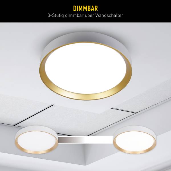 LED-Deckenleuchte Rio - Eisen - Gold / Weiß - 1-flammig