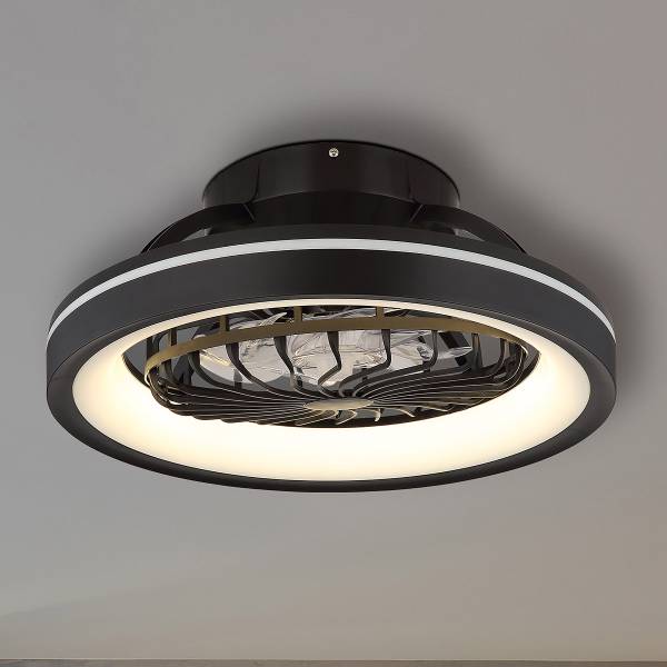 LED-Deckenventilator Deanne - Acrylglas - Schwarz - 2-flammig
