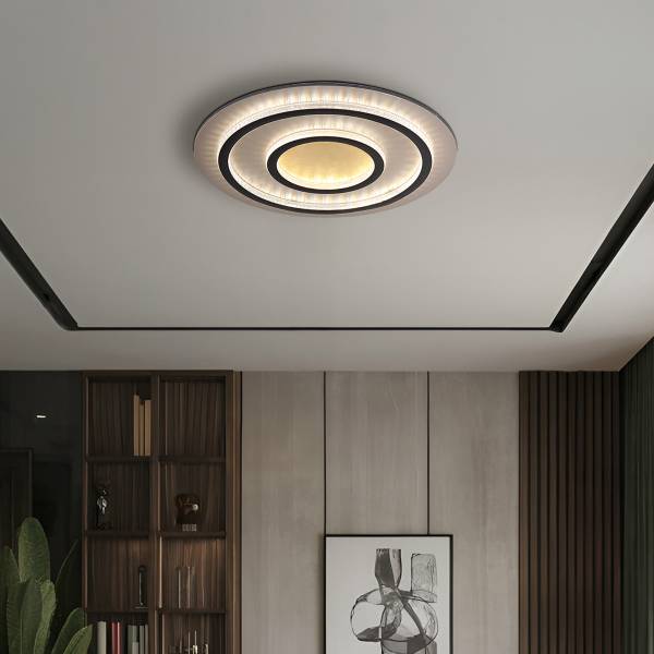 LED-Deckenleuchte Jayden Typ E Remote - Eisen / Acrylglas - 2-flammig - Schwarz / Gold - Durchmesser: 55 cm