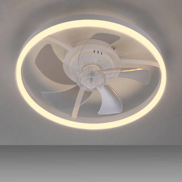 LED-Deckenventilator Rita - Eisen - Weiß - 1-flammig