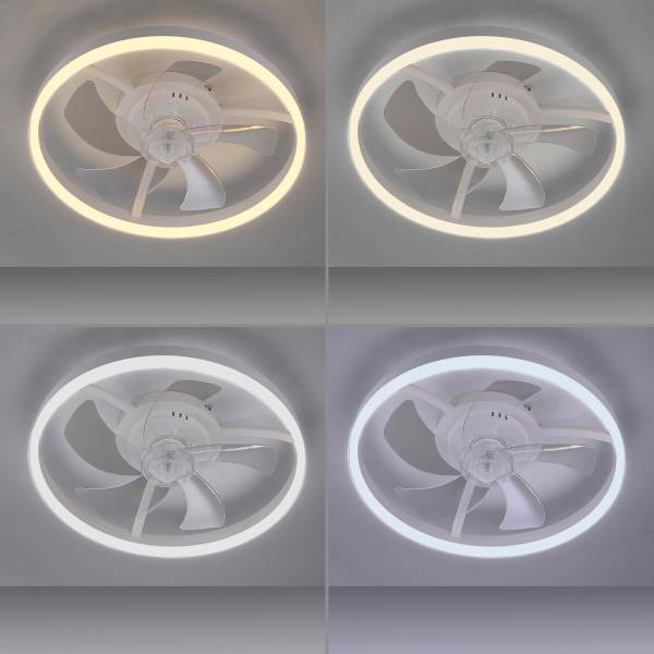 LED-Deckenventilator Rita - Eisen - Weiß - 1-flammig