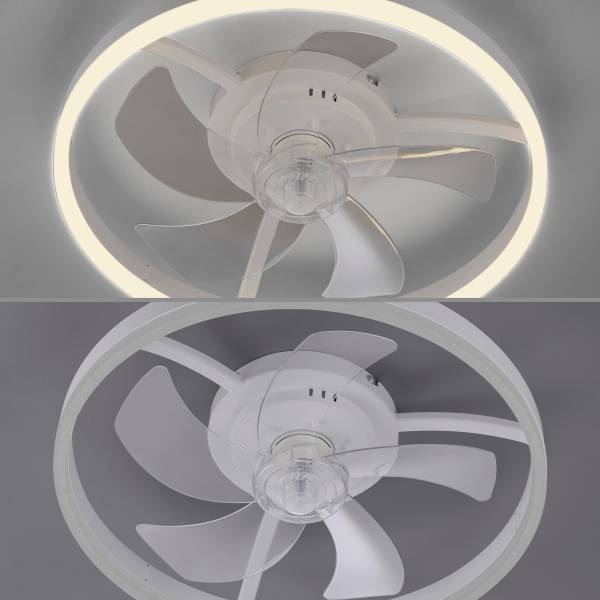 LED-Deckenventilator Rita - Eisen - Weiß - 1-flammig