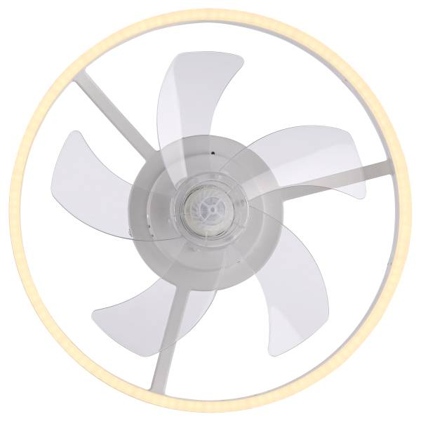 LED-Deckenventilator Rita - Eisen - Weiß - 1-flammig