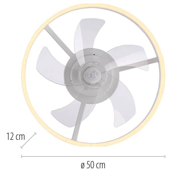 LED-Deckenventilator Rita - Eisen - Weiß - 1-flammig
