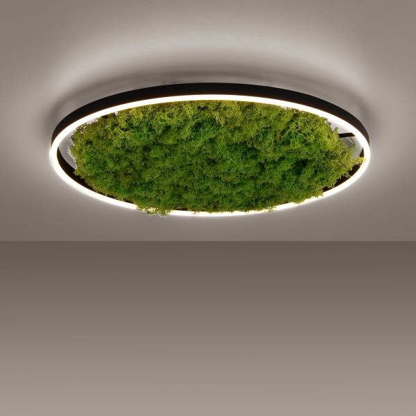 LED-Deckenleuchte Gerda Ritus - Eisen - Grün - 1-flammig - Durchmesser: 59 cm