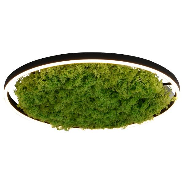 LED-Deckenleuchte Gerda Ritus - Eisen - Grün - 1-flammig - Durchmesser: 59 cm