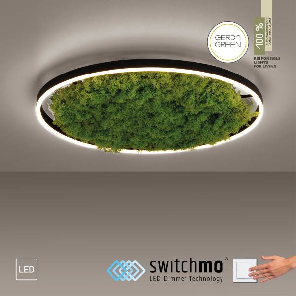 LED-Deckenleuchte Gerda Ritus - Eisen - Grün - 1-flammig - Durchmesser: 59 cm