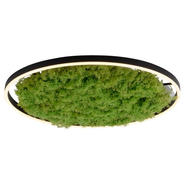 LED-Deckenleuchte Gerda Ritus - Eisen - Grün - 1-flammig - Durchmesser: 59 cm