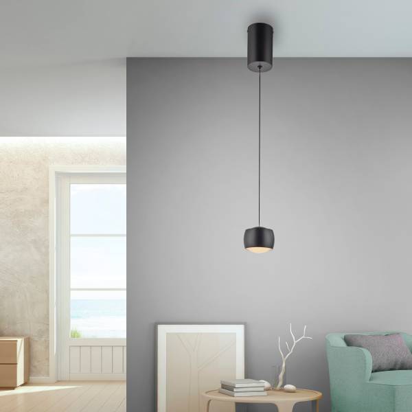 LED-Pendelleuchte Ballini - Eisen -Schwarz - Flammenanzahl: 1
