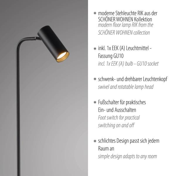 LED-Stehleuchte Rik - Eisen / Aluminium - 1-flammig