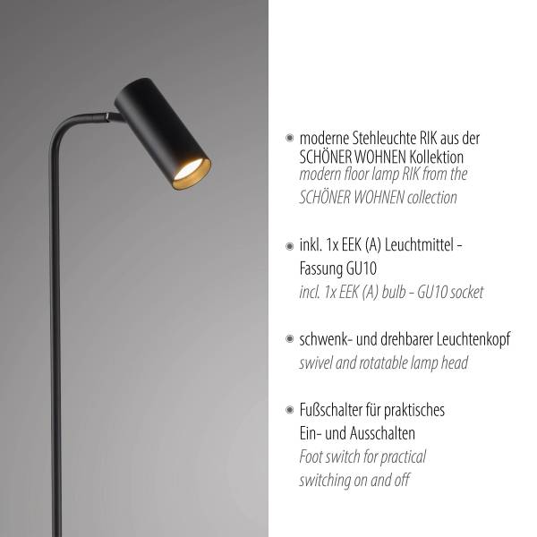 LED-Stehleuchte Rik - Eisen / Aluminium - 1-flammig