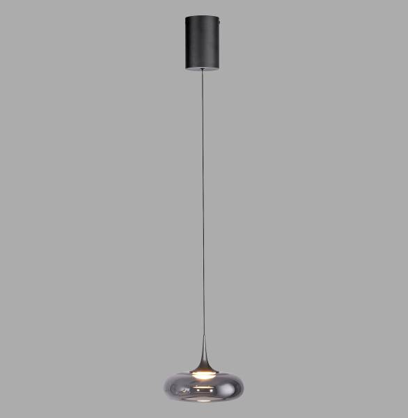 LED-Pendelleuchte Posh - Rauchglas / Eisen - Flammenanzahl: 1