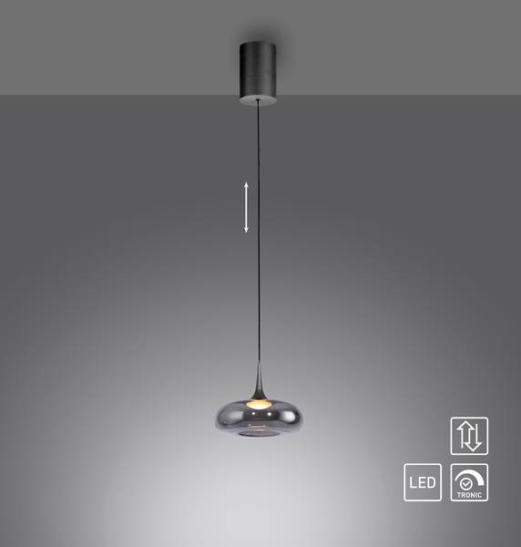 LED-Pendelleuchte Posh - Rauchglas / Eisen - Flammenanzahl: 1