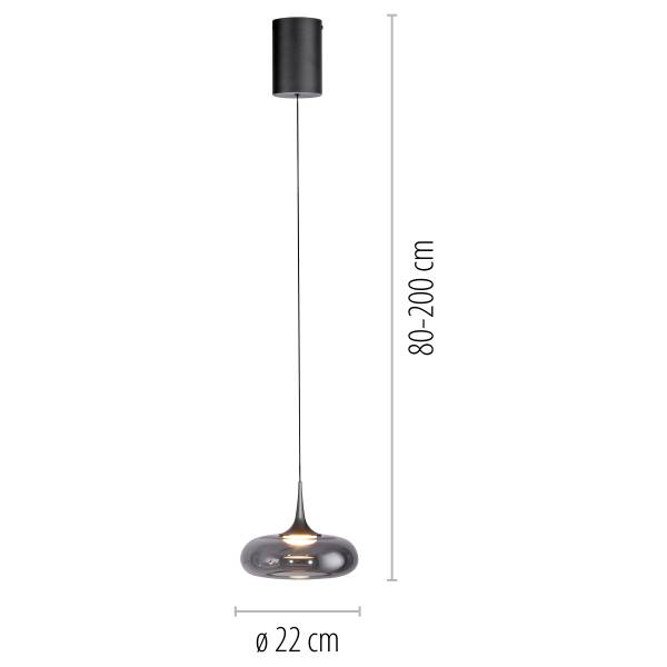 LED-Pendelleuchte Posh - Rauchglas / Eisen - Flammenanzahl: 1