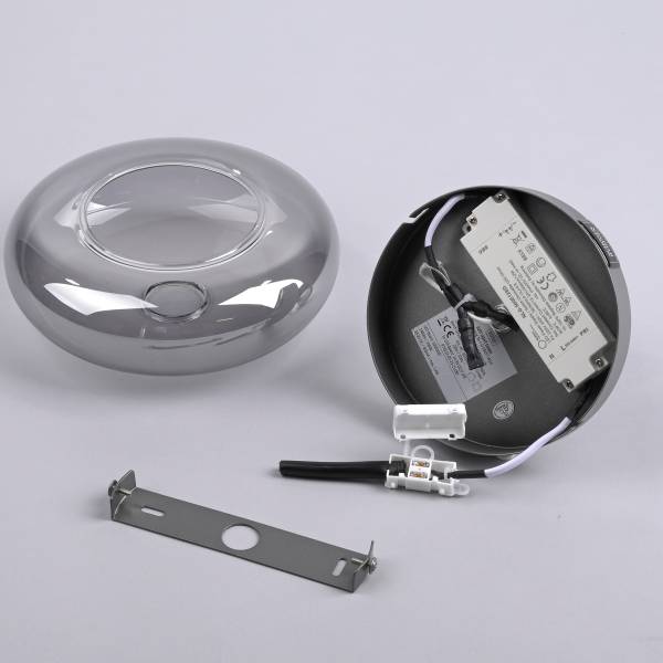 LED-Wandleuchte Posh - Rauchglas / Eisen - 1-flammig