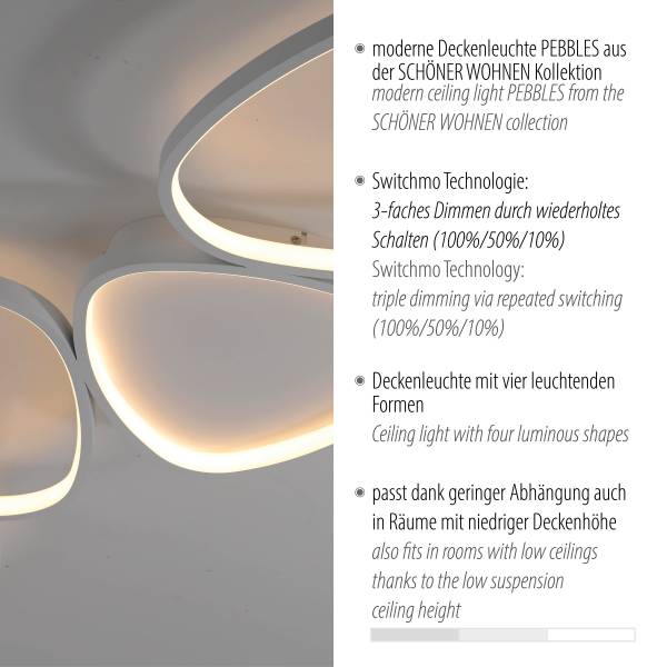 LED-Deckenleuchte Pebbles Typ B - PVC / Eisen - 1-flammig
