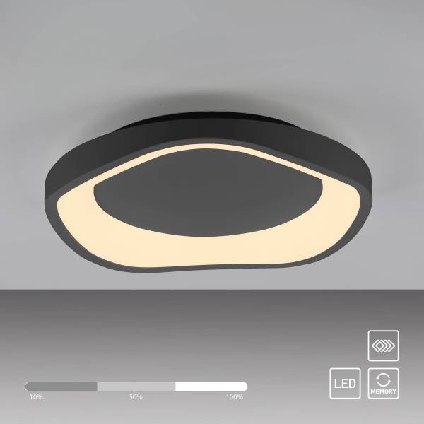 LED-Deckenleuchte Monta - PVC / Eisen - 1-flammig - Schwarz