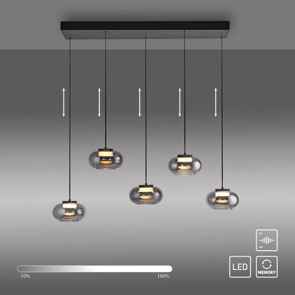 LED-Pendelleuchte Sia - Rauchglas / Eisen - Flammenanzahl: 5
