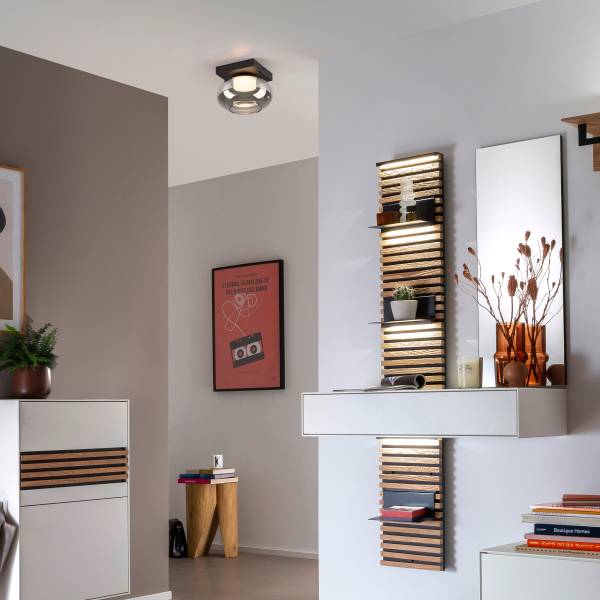 LED-Deckenleuchte Sia - Rauchglas / Eisen - 1-flammig