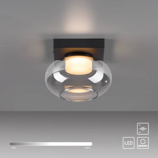 LED-Deckenleuchte Sia - Rauchglas / Eisen - 1-flammig