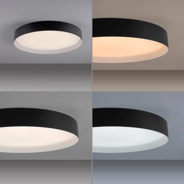 LED-Deckenleuchte Tavoli - Acrylglas / Eisen - 1-flammig - Schwarz - Durchmesser: 49 cm