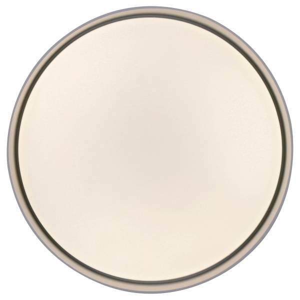LED-Deckenleuchte Tavoli - Acrylglas / Eisen - 1-flammig - Schwarz - Durchmesser: 29 cm